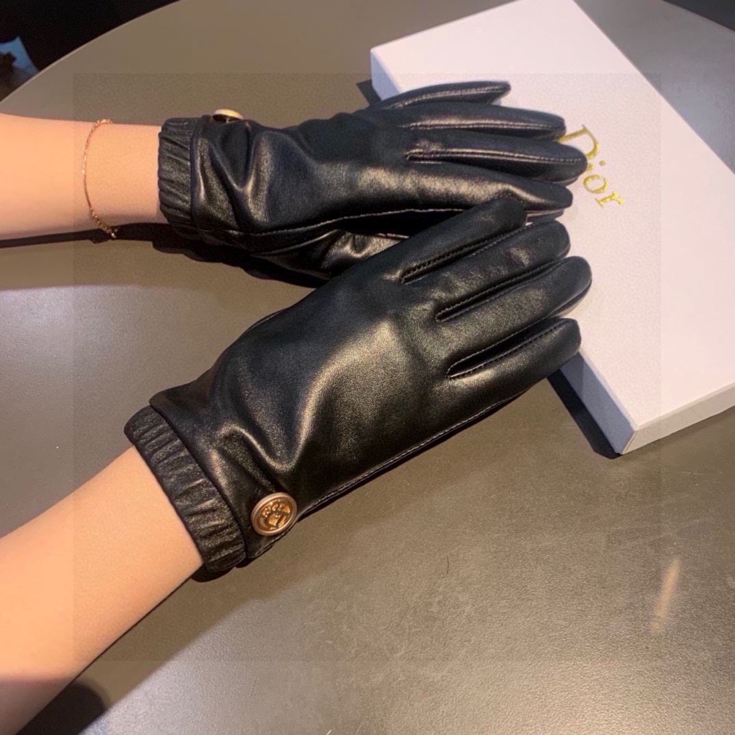 Christian Dior Gloves